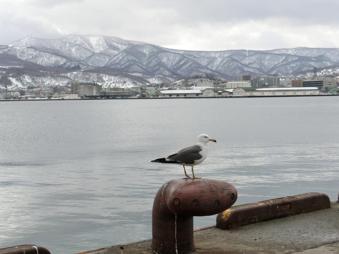 Otaru Wharf-小樽市必去景点