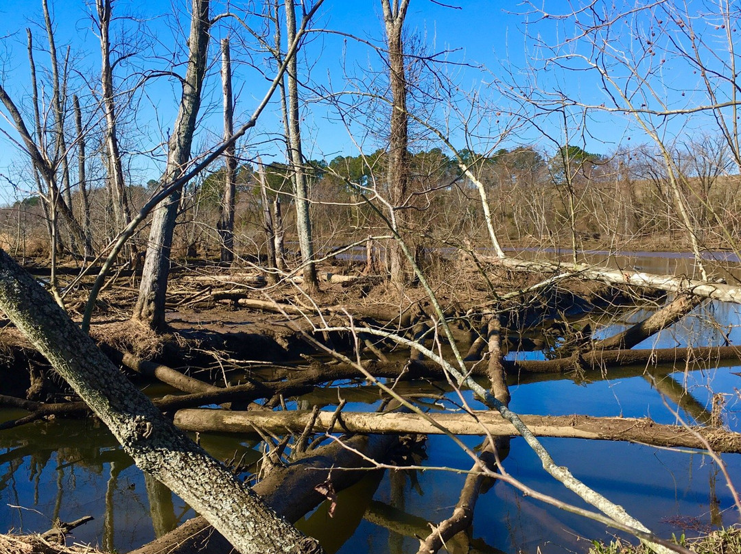 Dutch Gap Conservation Area-Chester必去景点