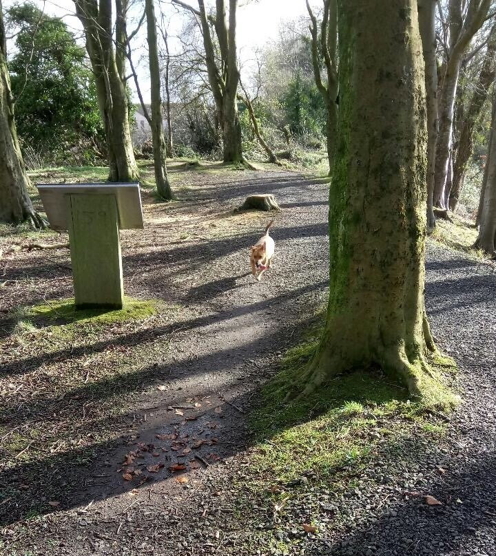 Coleraine Walks景点图片