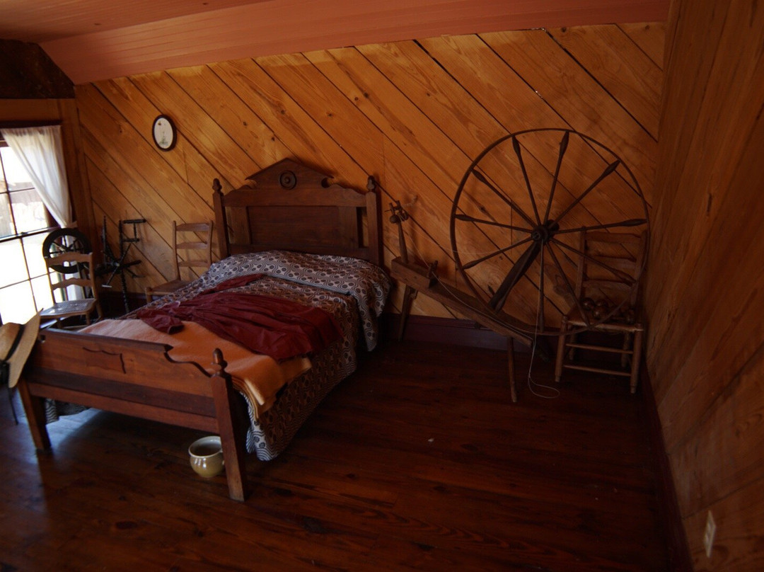 Nash Farm-葡萄藤必去景点