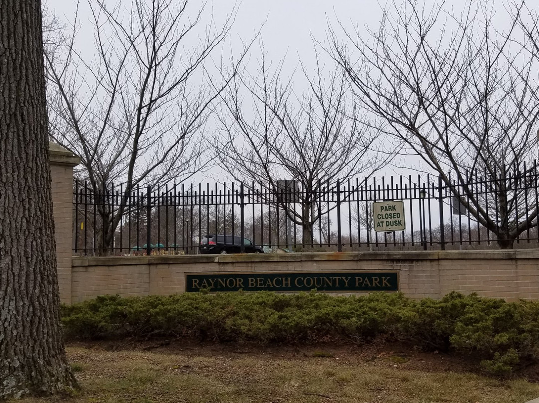 Raynor Beach County Park景点图片