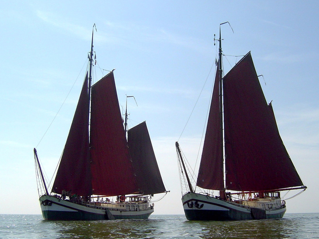 Friesland Charter