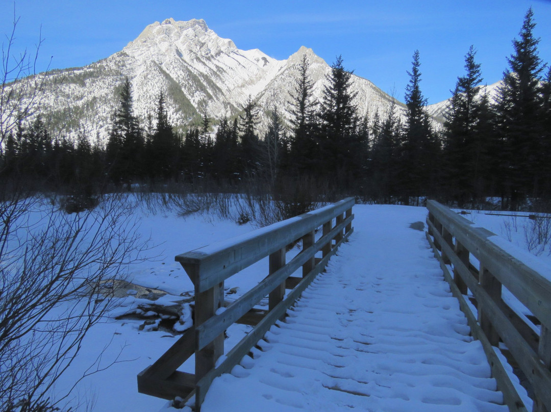 Mt. Lorette Ponds-Peter Lougheed Provincial Park必去景点