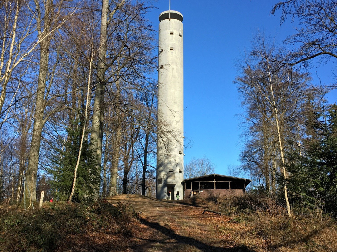 Mahlberg-Turm景点图片