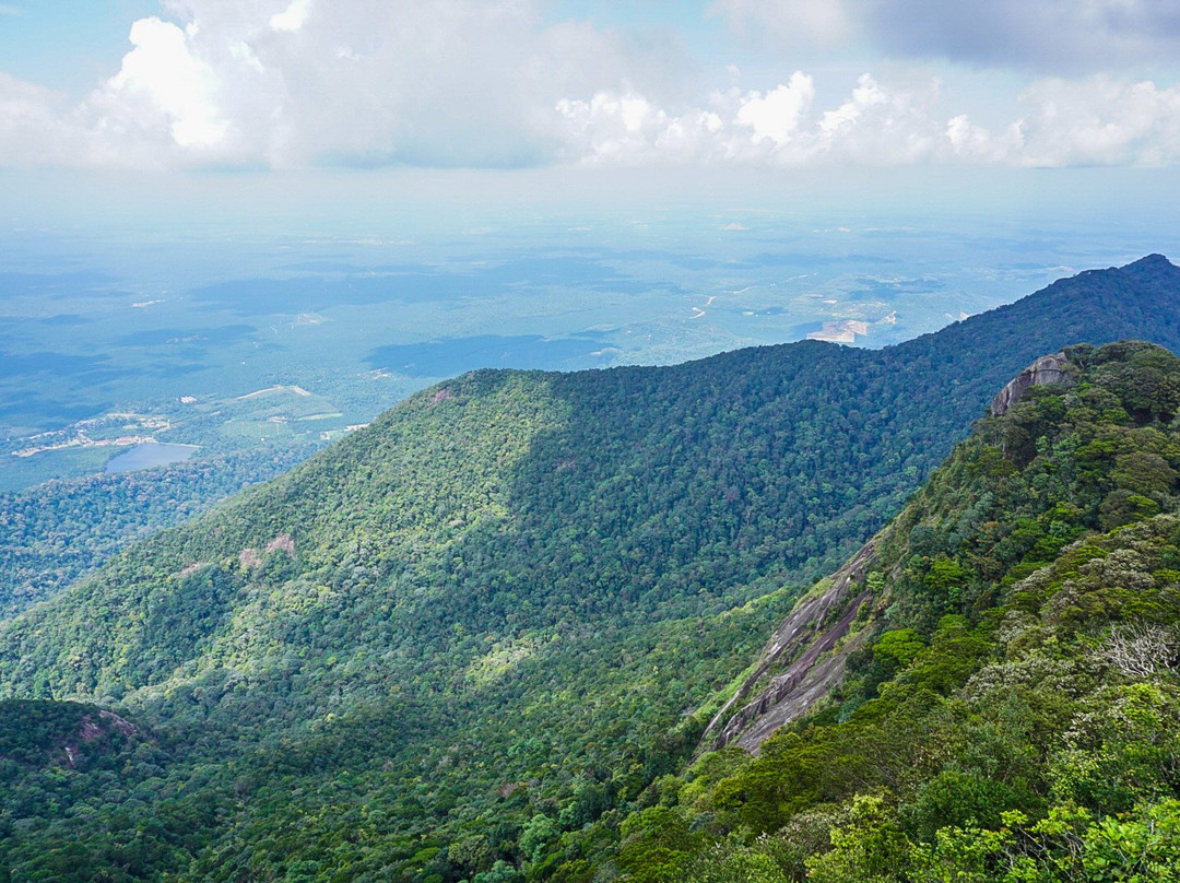 Gunung Ledang (Mount Ophir)景点图片