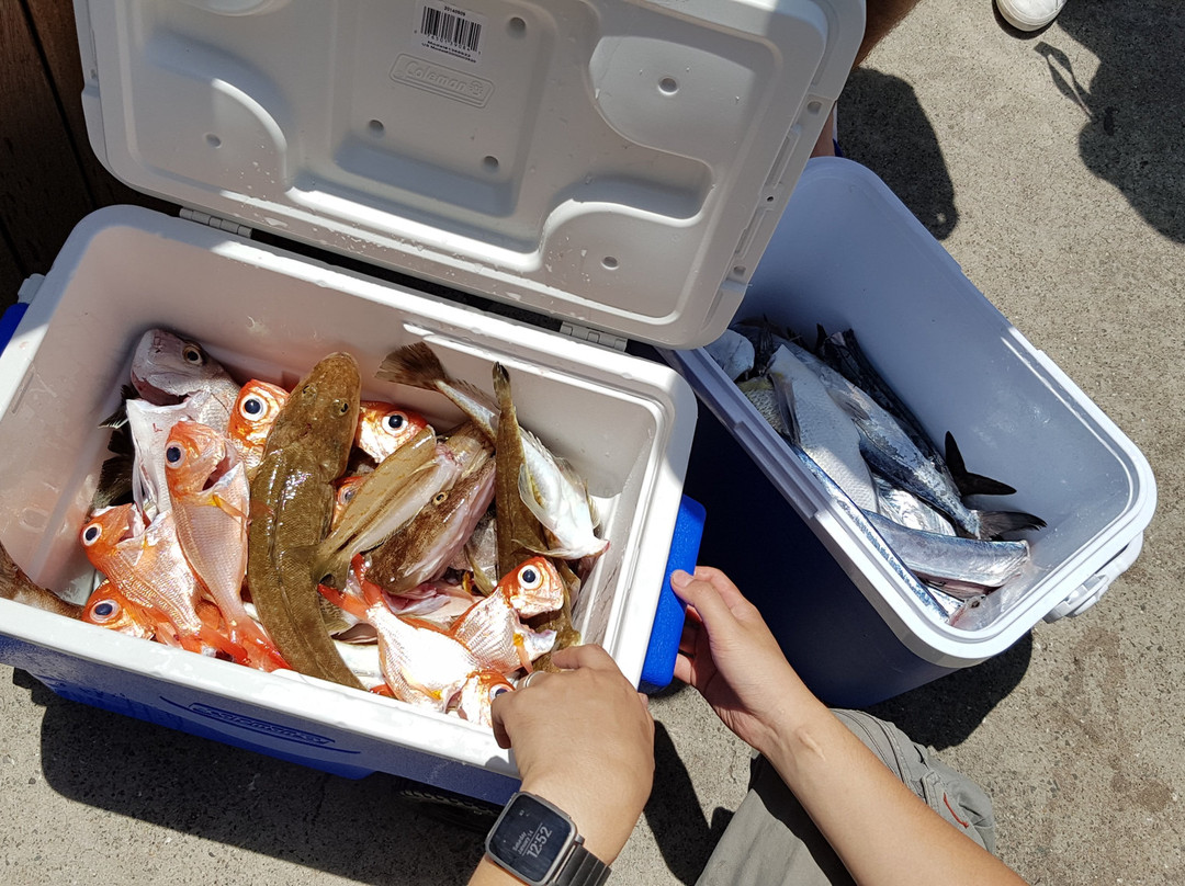 Blue Reef Fishing Charters景点图片