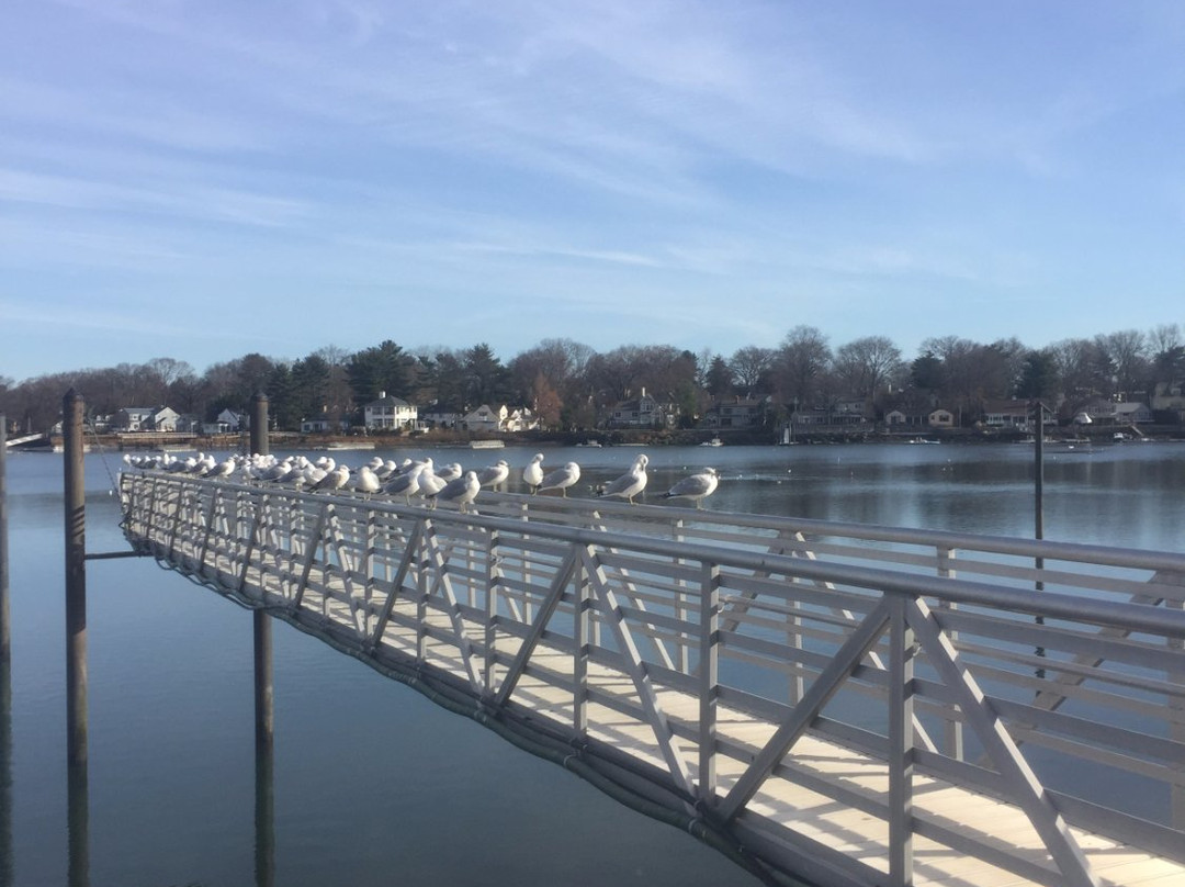 Harbor Island Park景点图片