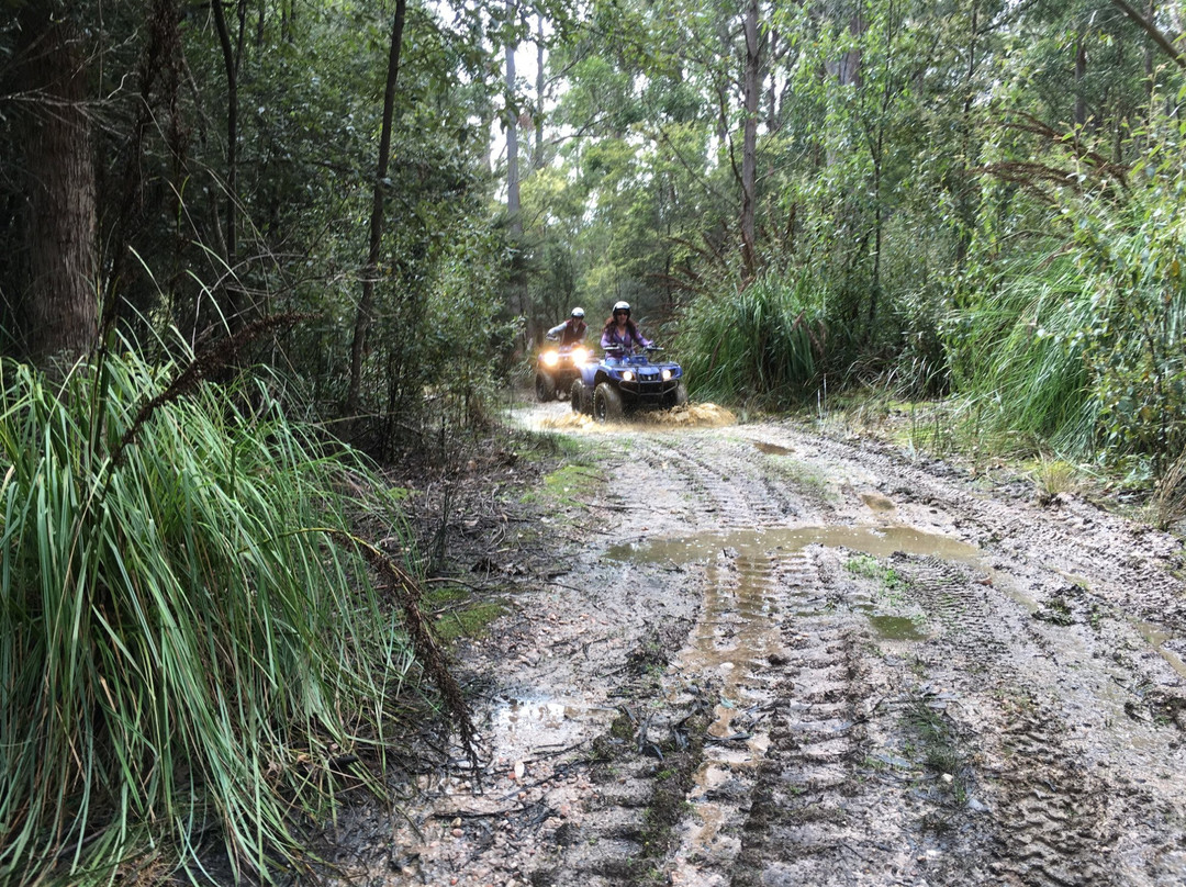 Mt Roland Quad Bikes-Claude Road必去景点