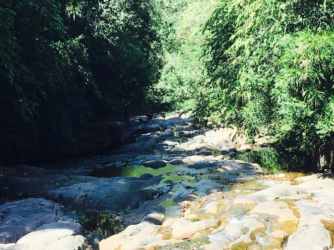 Makandawa Forest Reserve-Kitulgala必去景点