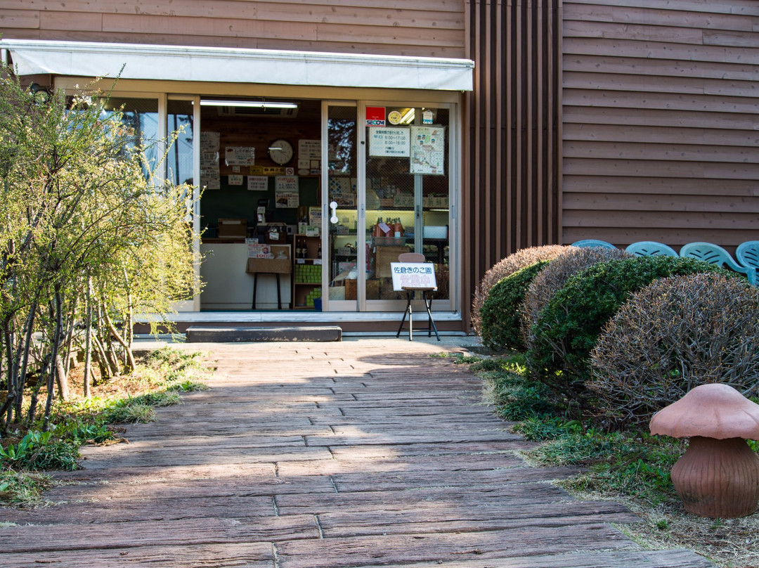 Sakurakinokoen-佐仓市必去景点