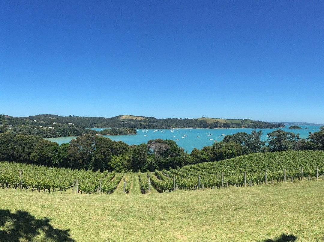 Waiheke Executive Transport景点图片