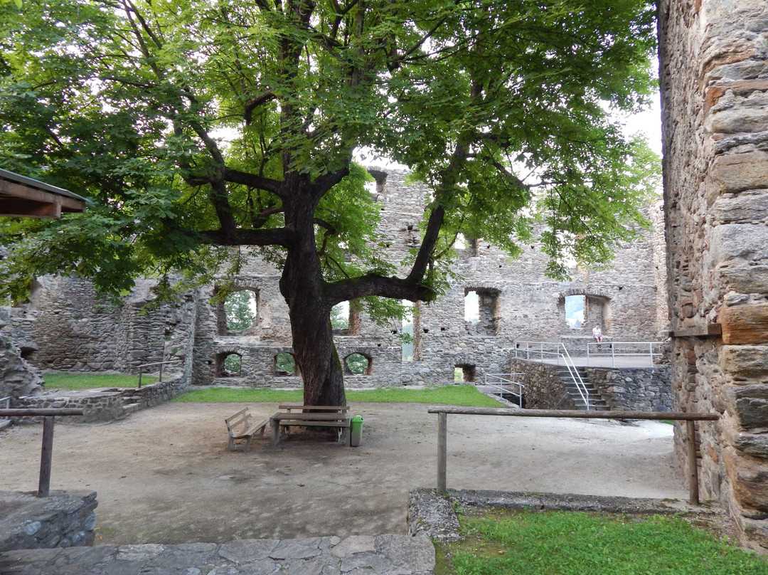 Ruine Painburg景点图片