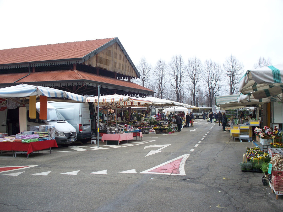 Mercato Ambulante 2.0-阿尔巴必去景点