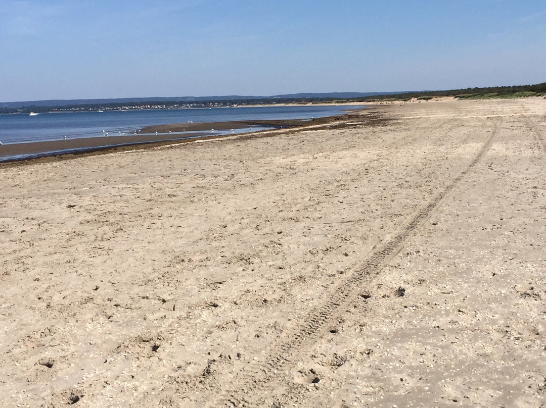 Sibirien Strand-Ängelholm必去景点