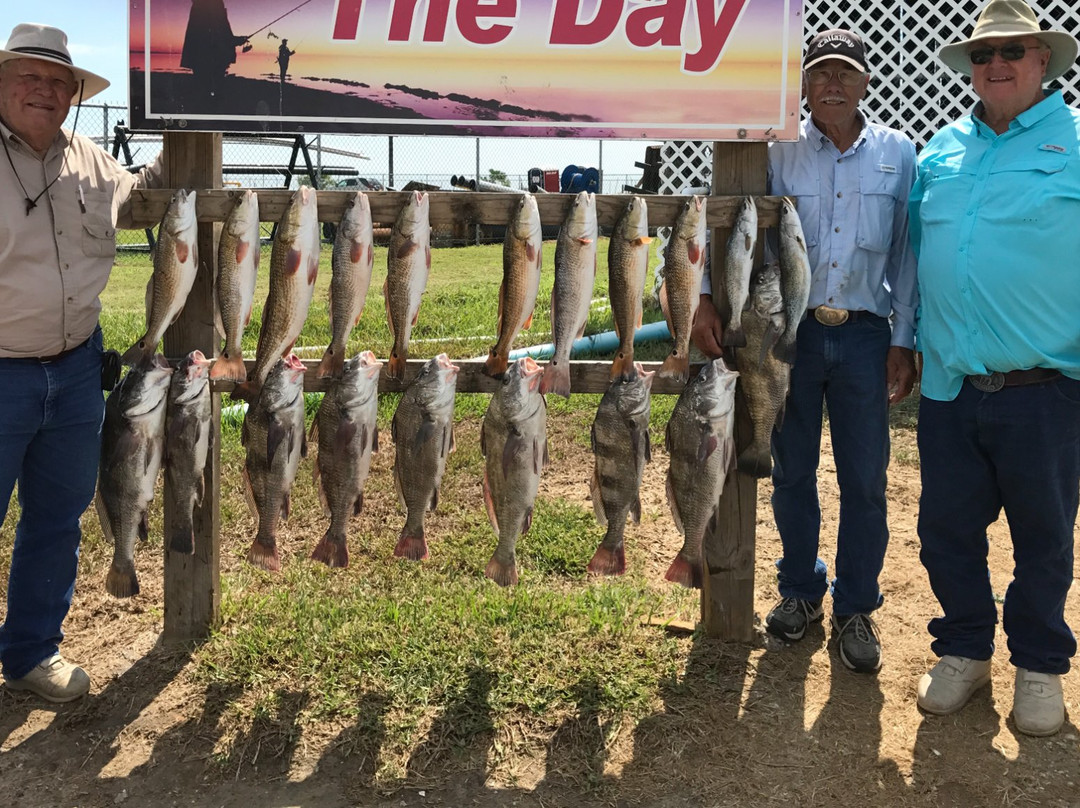 The Gallery of Rockport-罗克波特必去景点