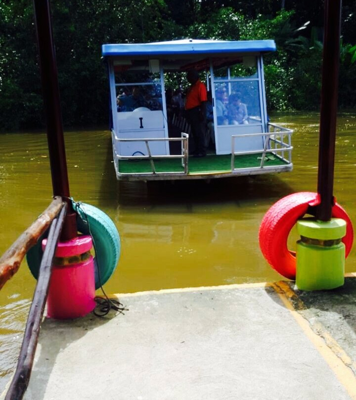 Eco Jungle Cruises景点图片