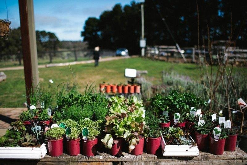 The Loch Farm Stall-Berrima必去景点
