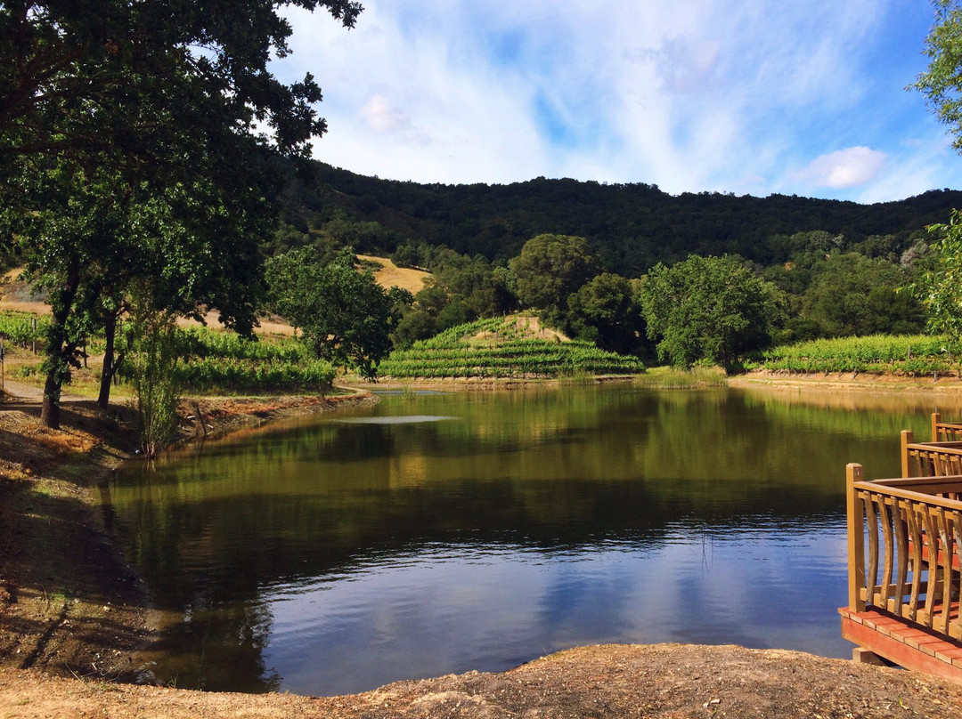 Martin Ranch Winery-吉尔罗伊必去景点