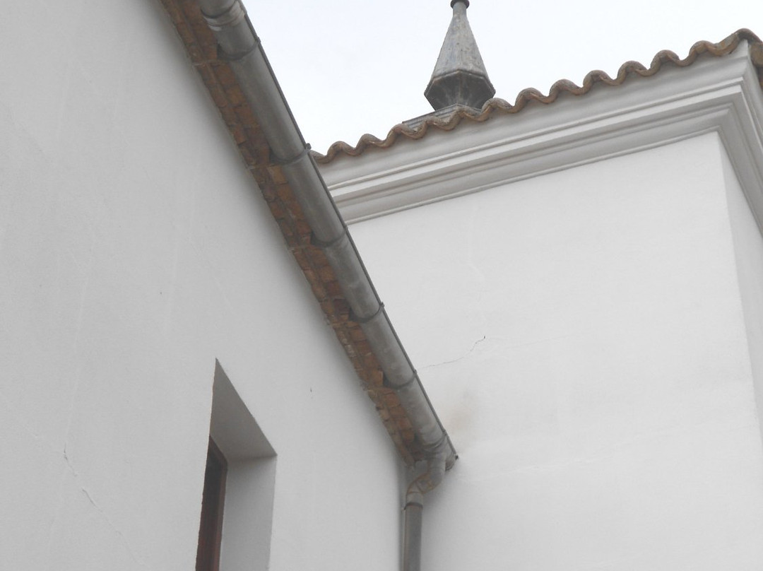 Palacio de los Condes de Valdeparaíso景点图片