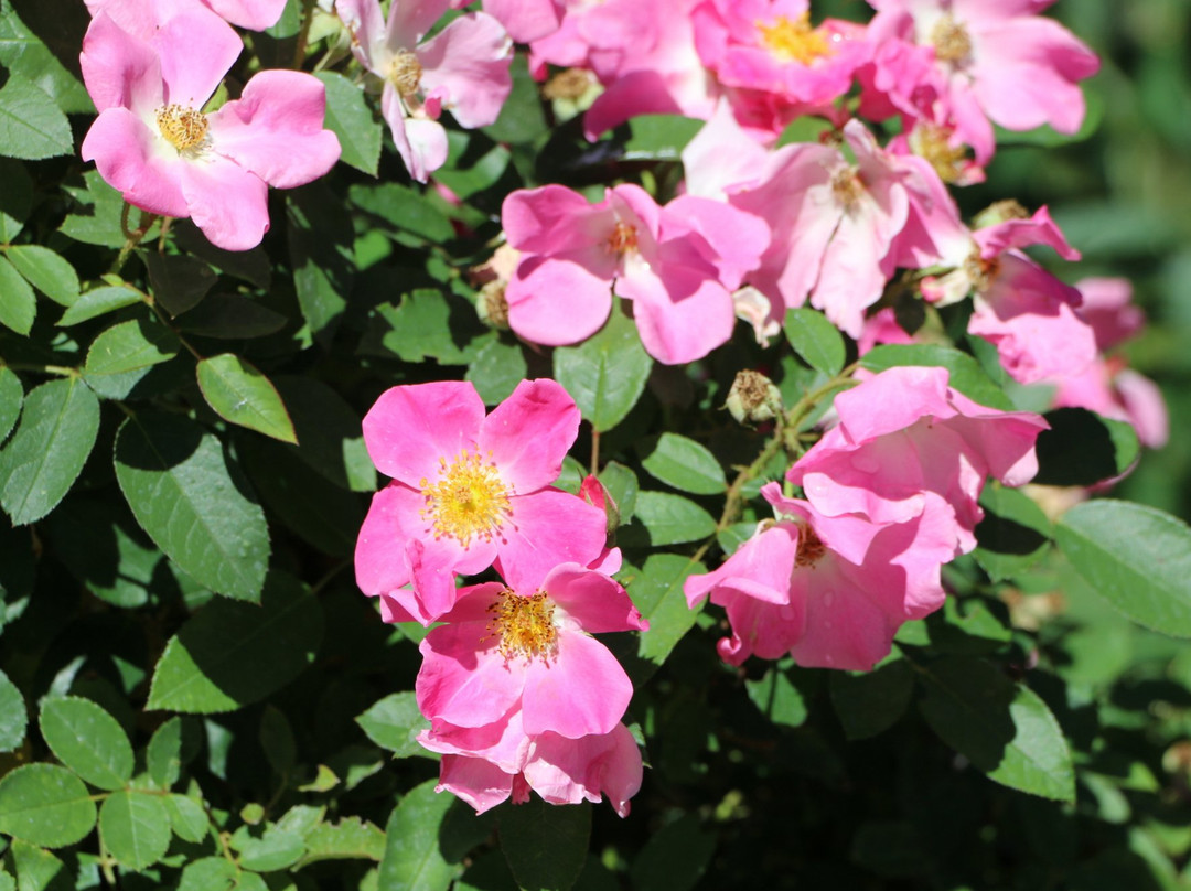 Murray Ryan Visitor Center-Silver City必去景点