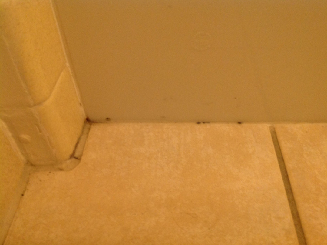 Lake Cadillac Resort主图