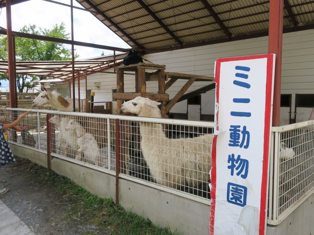 Suetoshi Farm-佐久市必去景点