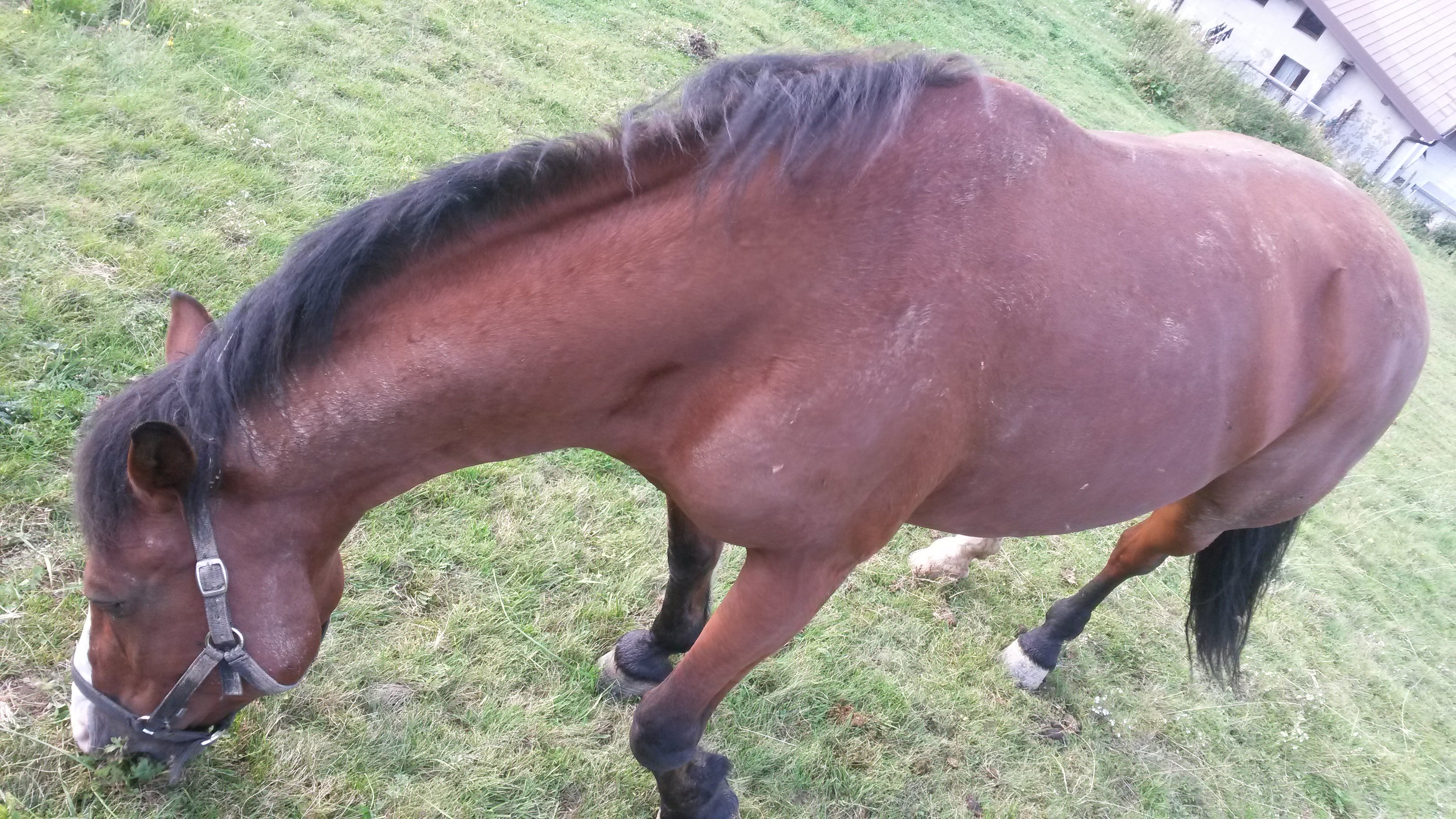 Roccolo Agriturismo-官方