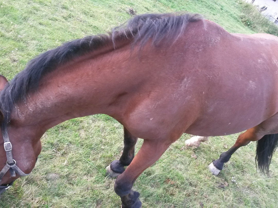 Roccolo Agriturismo主图