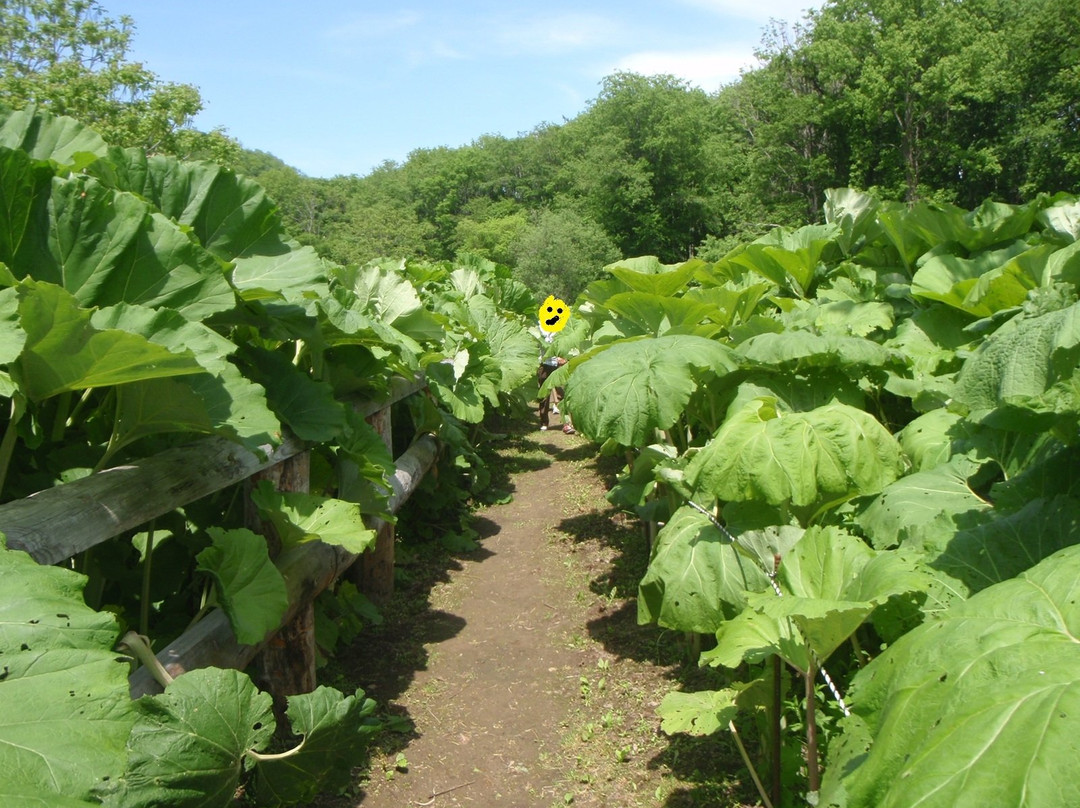 Rawanbuki Hojo-足寄町必去景点