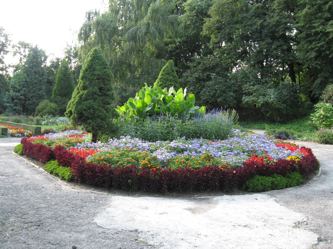 Botanical Garden UMCS景点图片