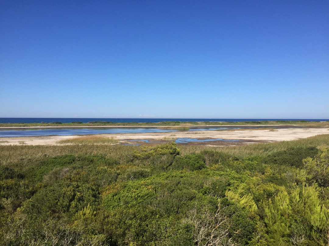 Riserva Naturale Le Cesine景点图片