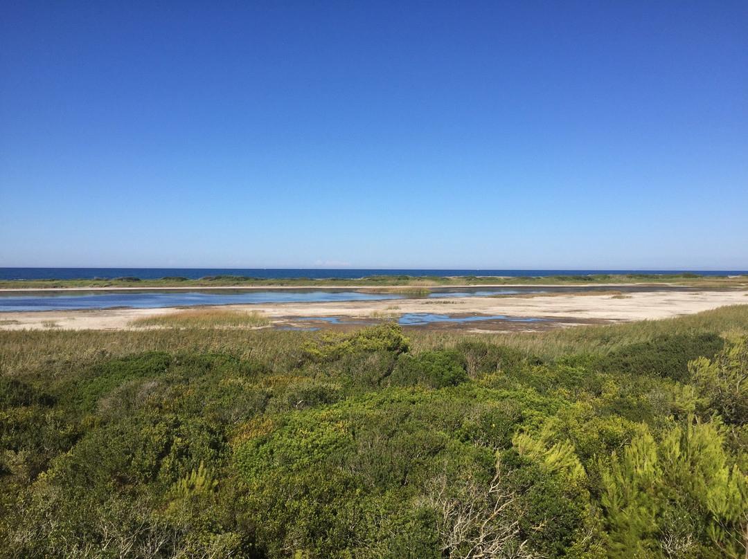 Riserva Naturale Le Cesine景点图片