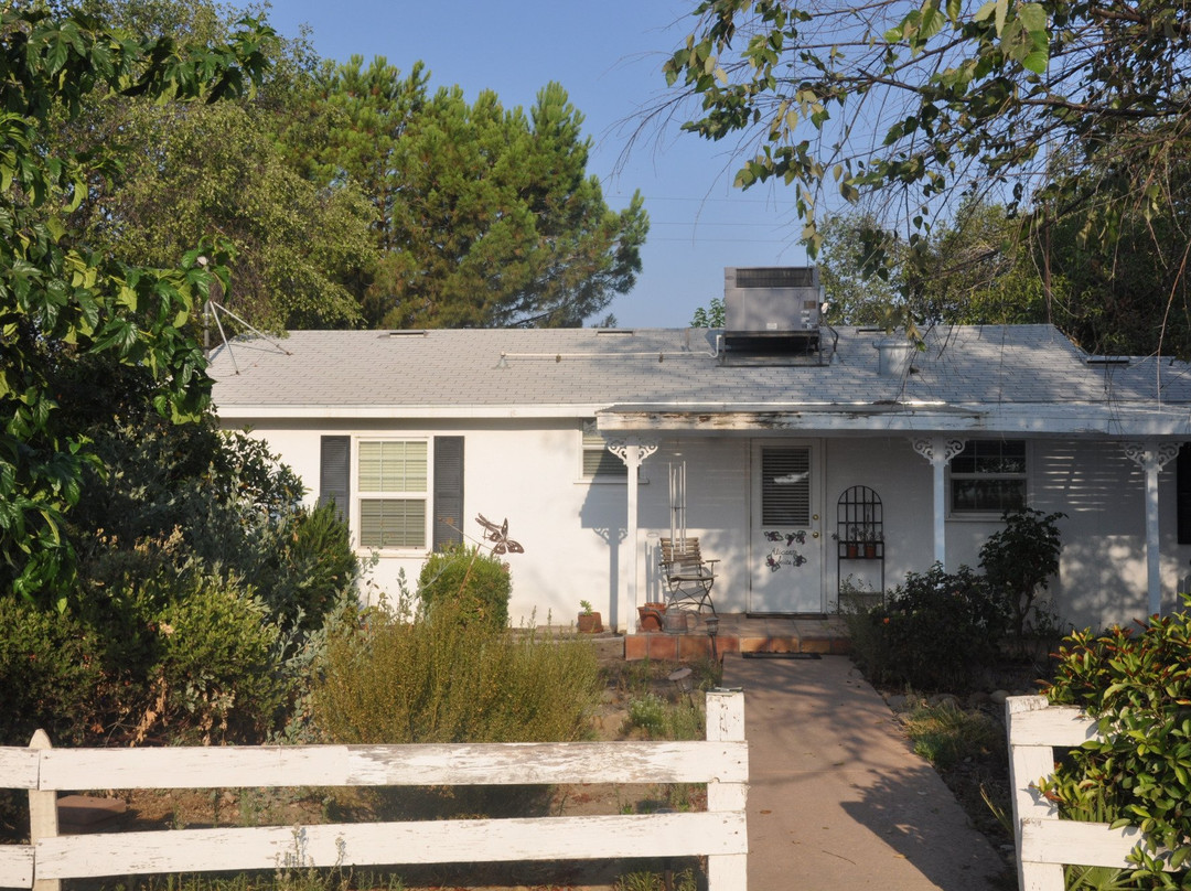 Sequoia View Vineyard主图