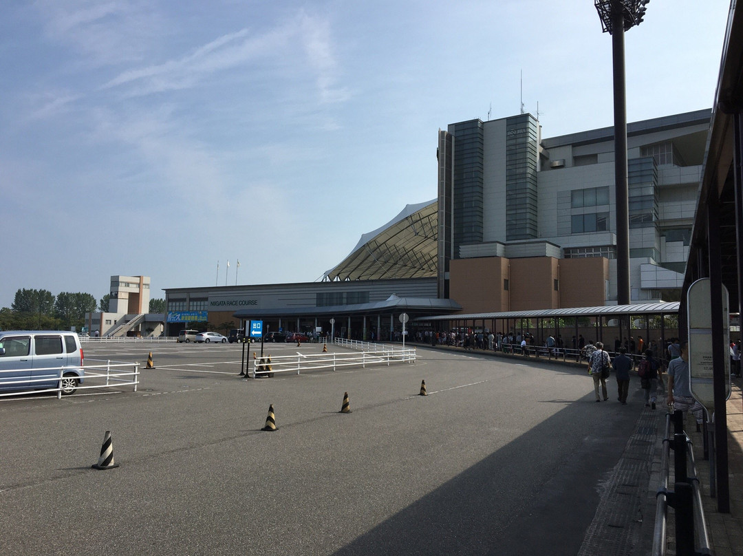 Niigata Horse Racetrack景点图片