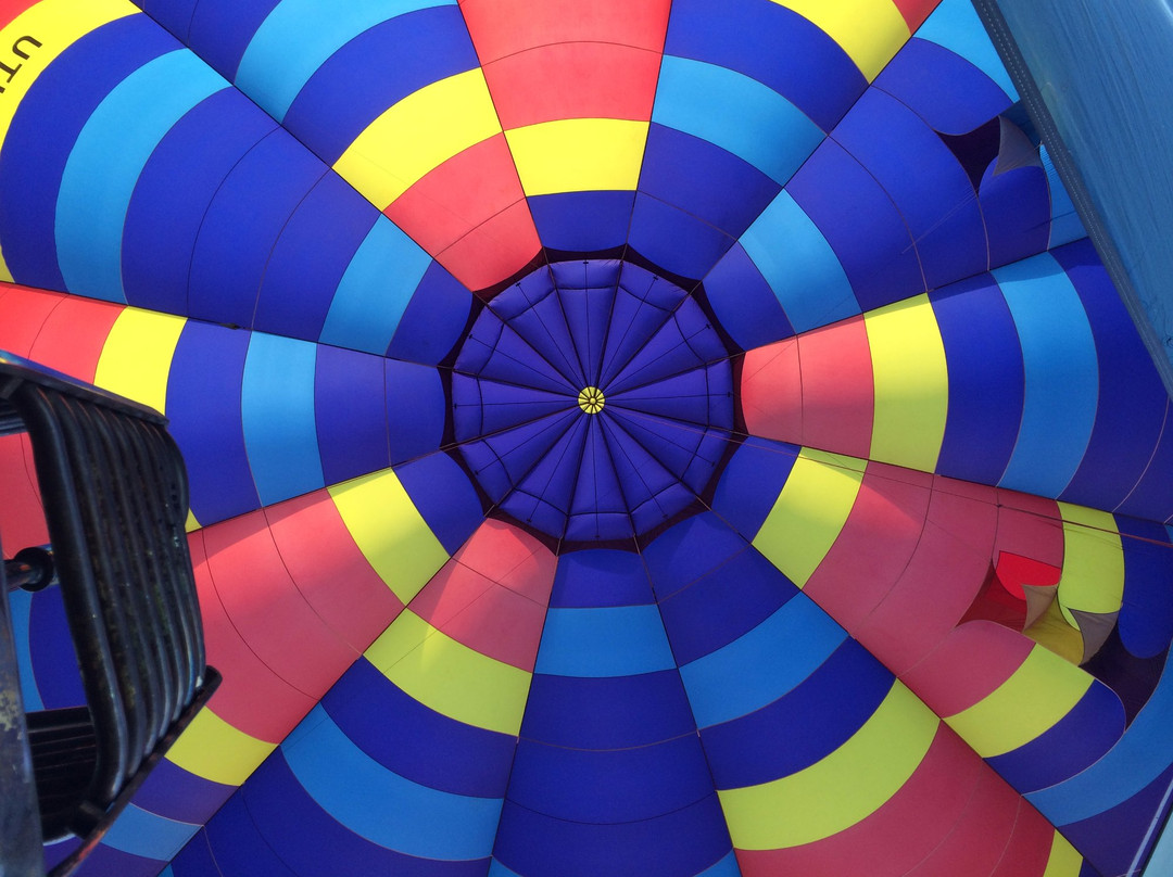 Wickers World Balloon Flights景点图片