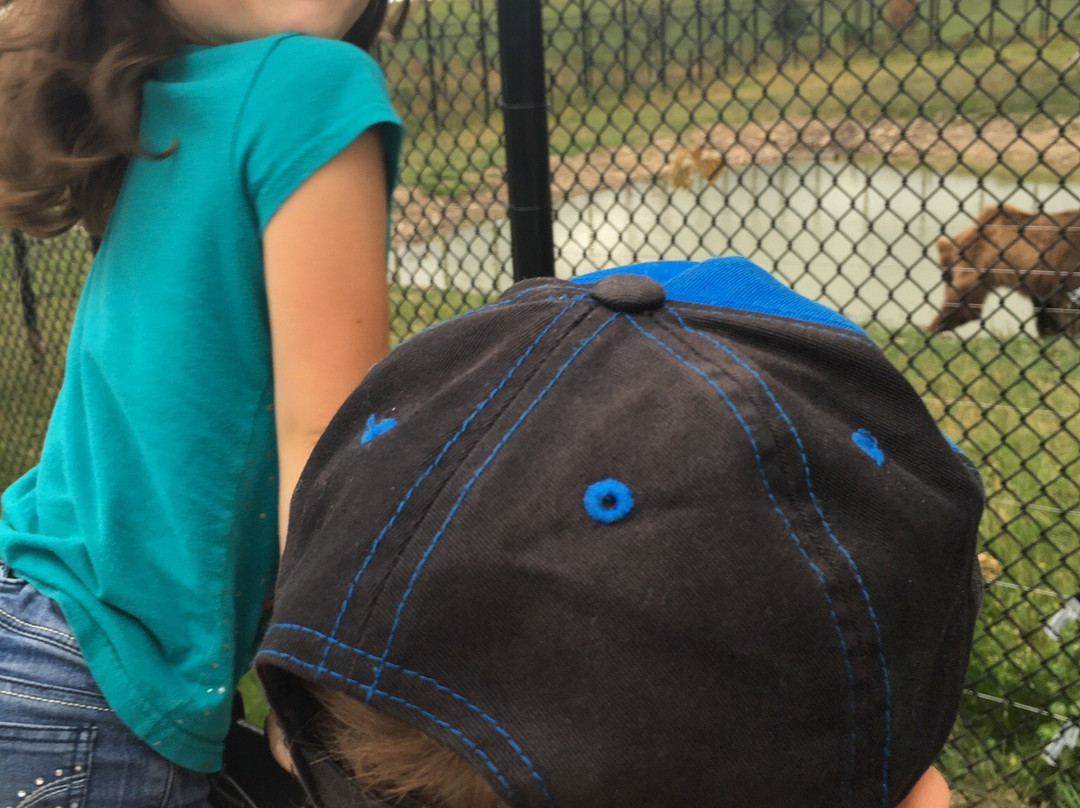 Wildwood Zoo-Marshfield必去景点