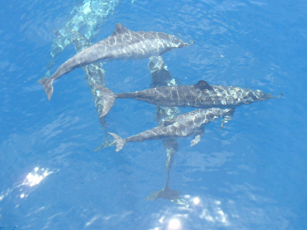 担杆岛旅游攻略图片