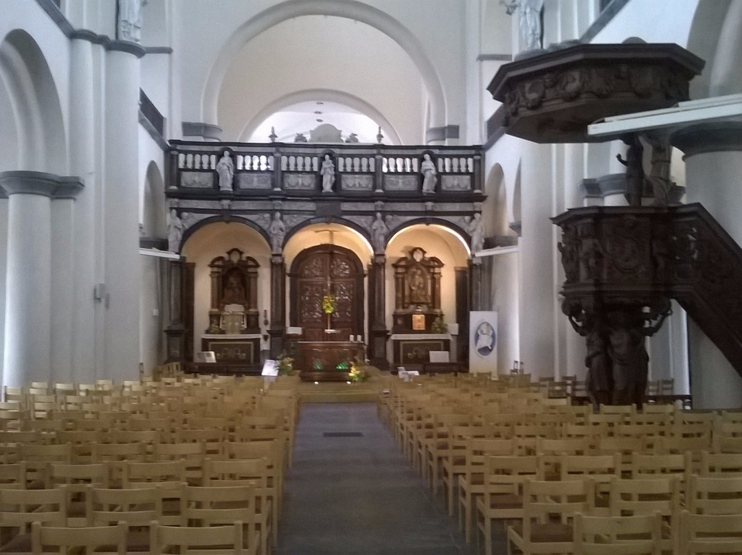 Collegiale Saint-Vincent de Soignies景点图片