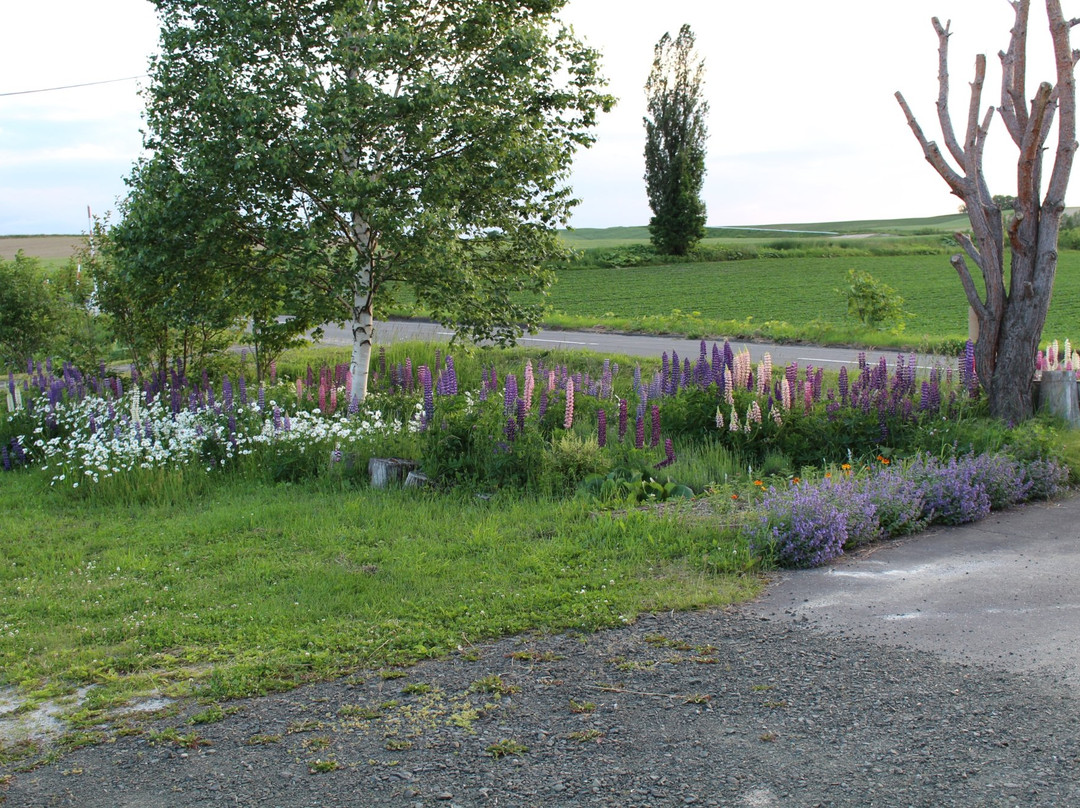 Pension Kaze no michi主图