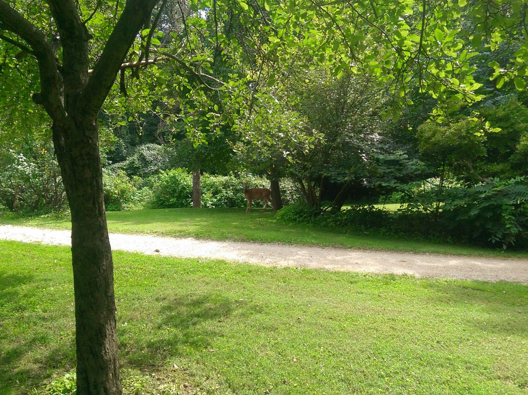 Chestnut Ridge-Carroll必去景点