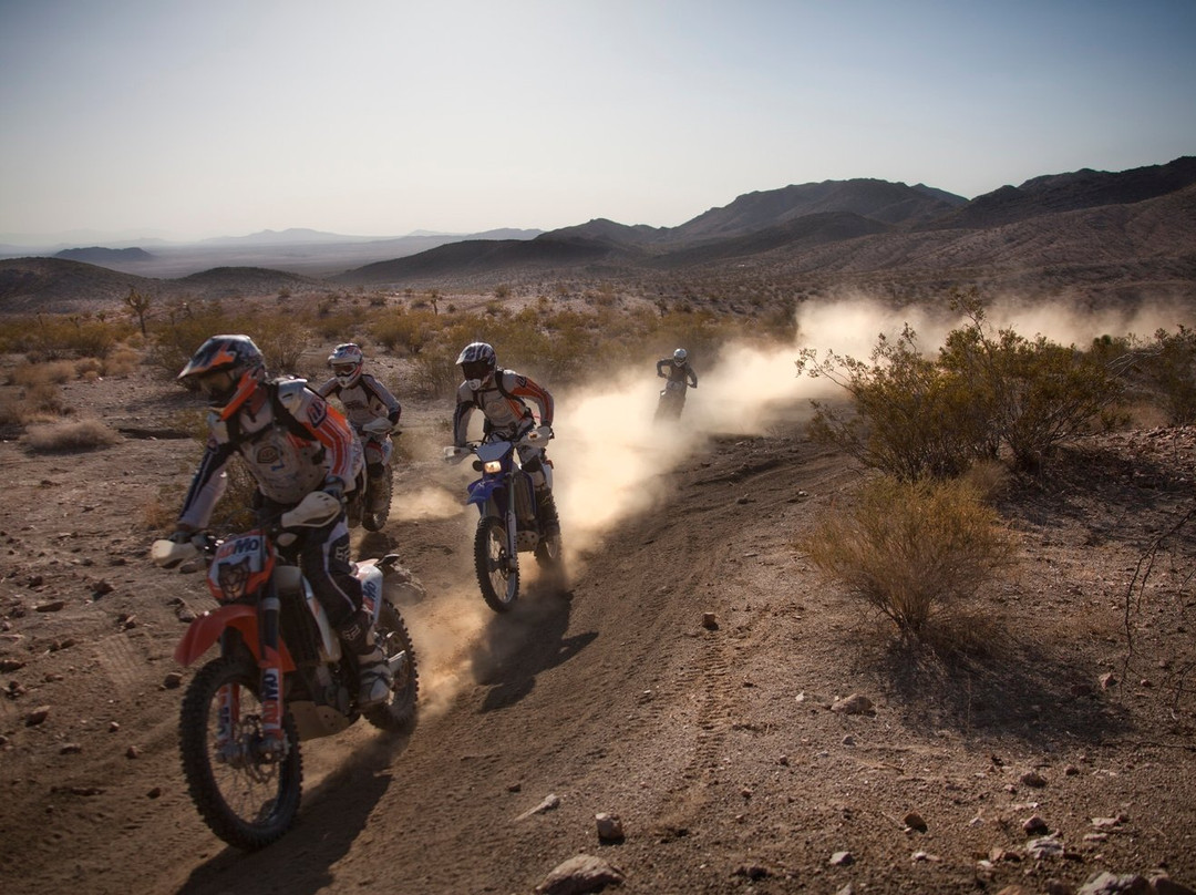 AdMo Tours-Wrightwood必去景点