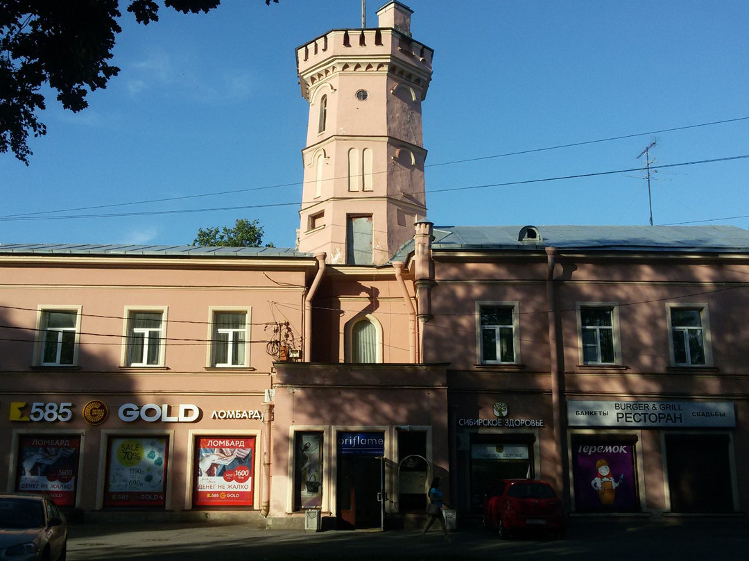 House of Vsevolozhskiy景点图片