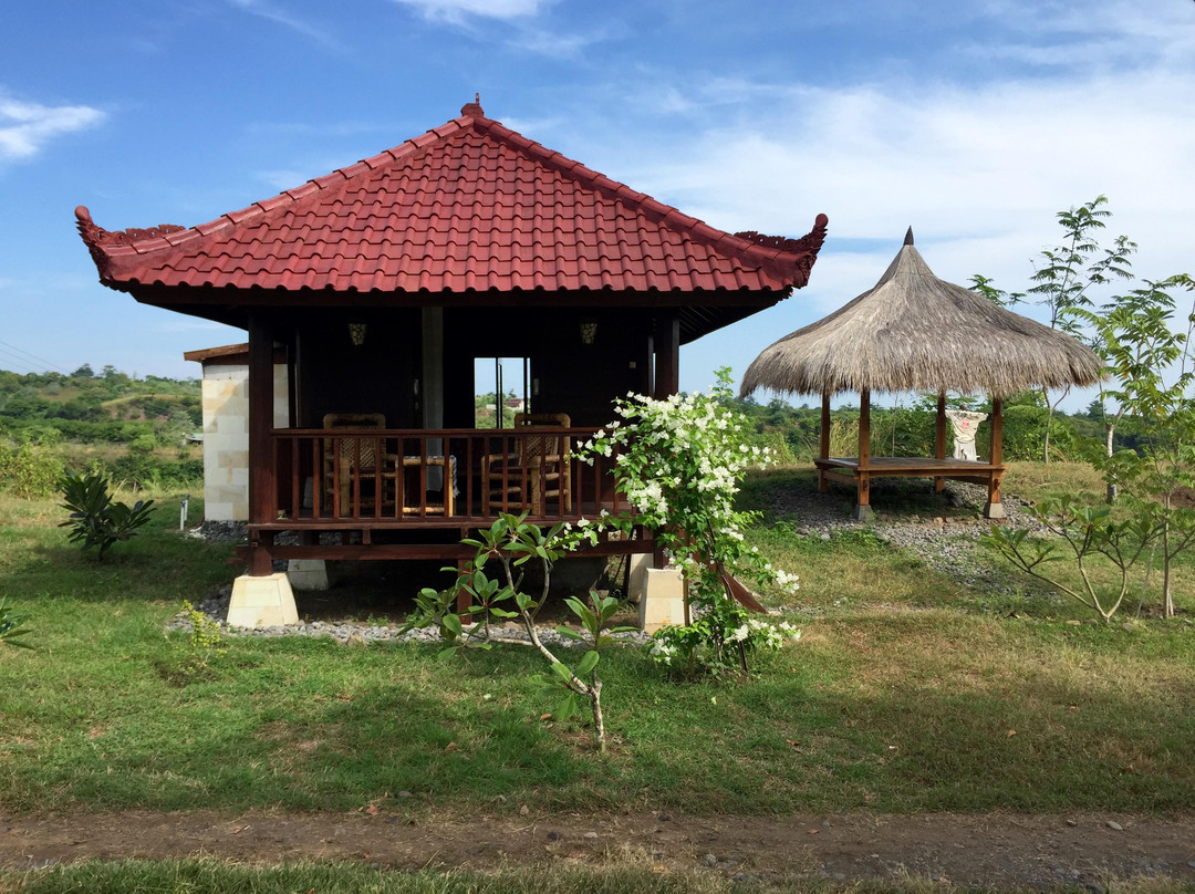 Saifana Organic Farm Bungalows