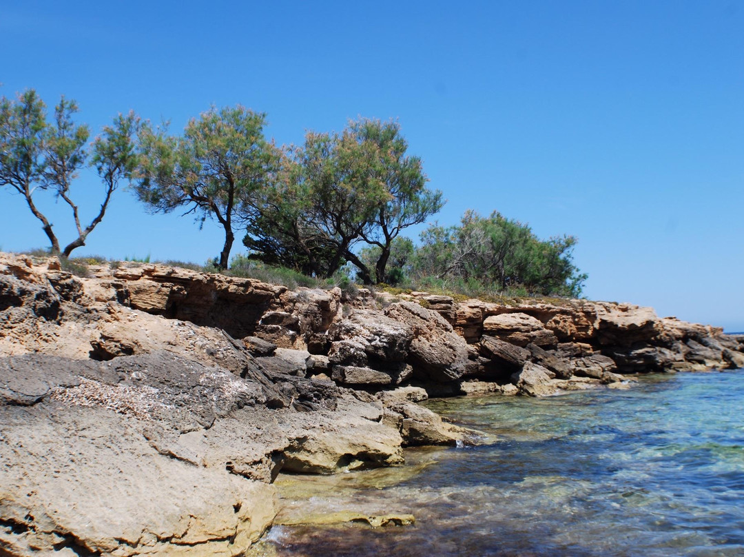 Sa Canova Beach