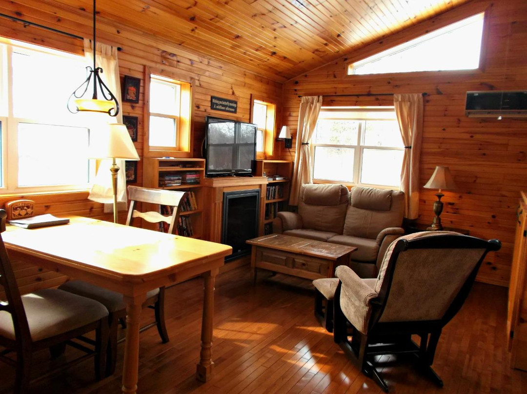 By d' Bay Cabins