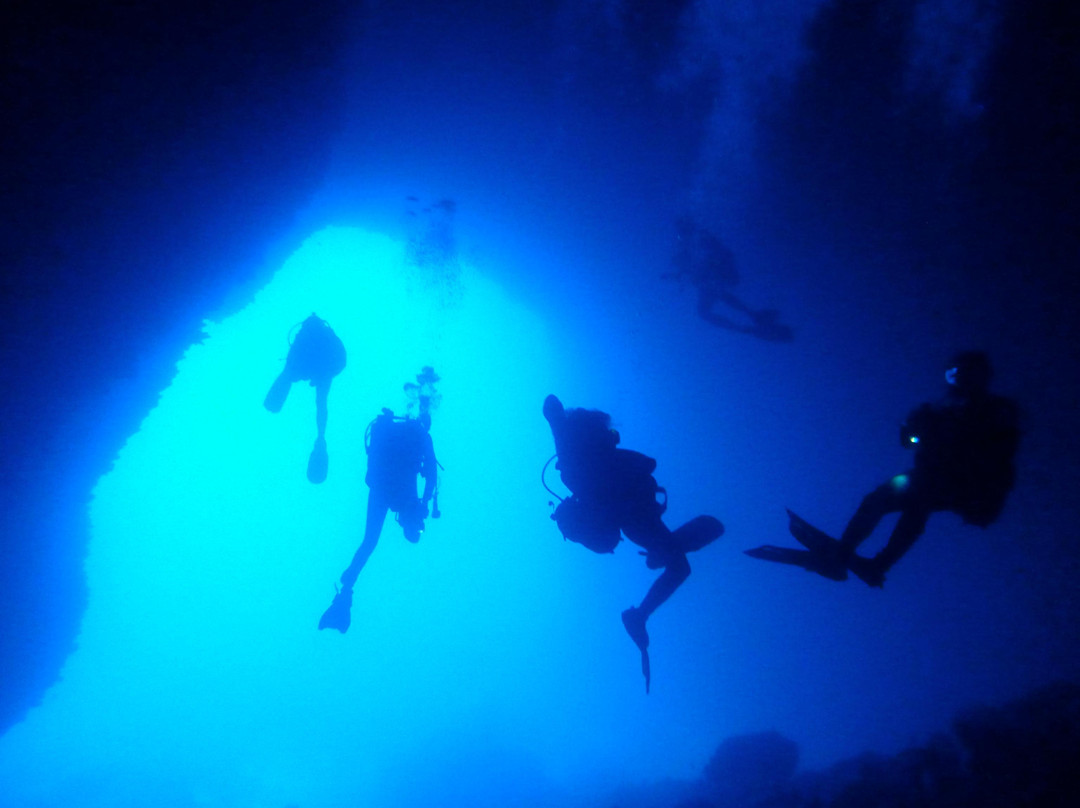 The Waterhoppers Diving School