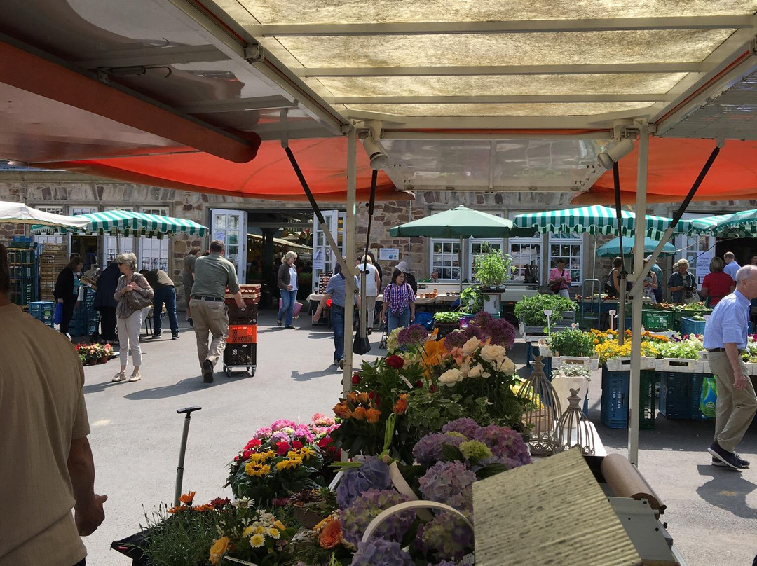 Markthalle Kassel-卡塞尔行政区必去景点