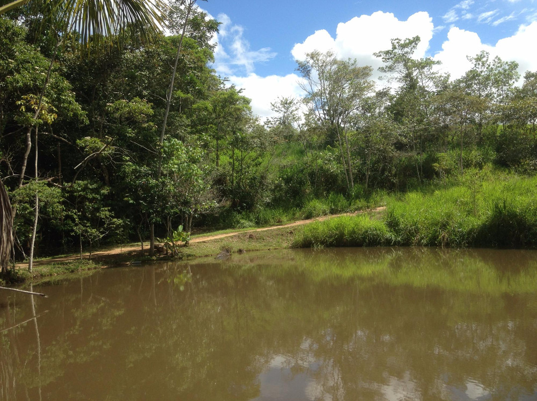 Tambo Ilusión hospedaje vegetariano-Tarapoto必去景点