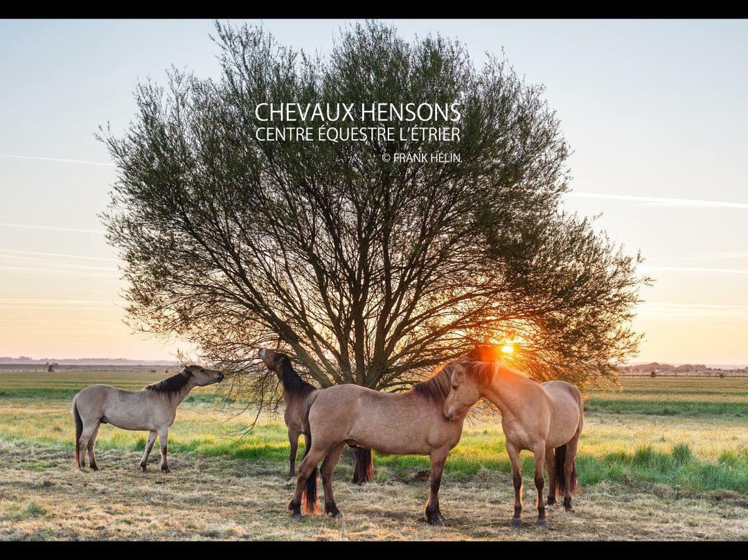 Espaces Equestres Henson景点图片