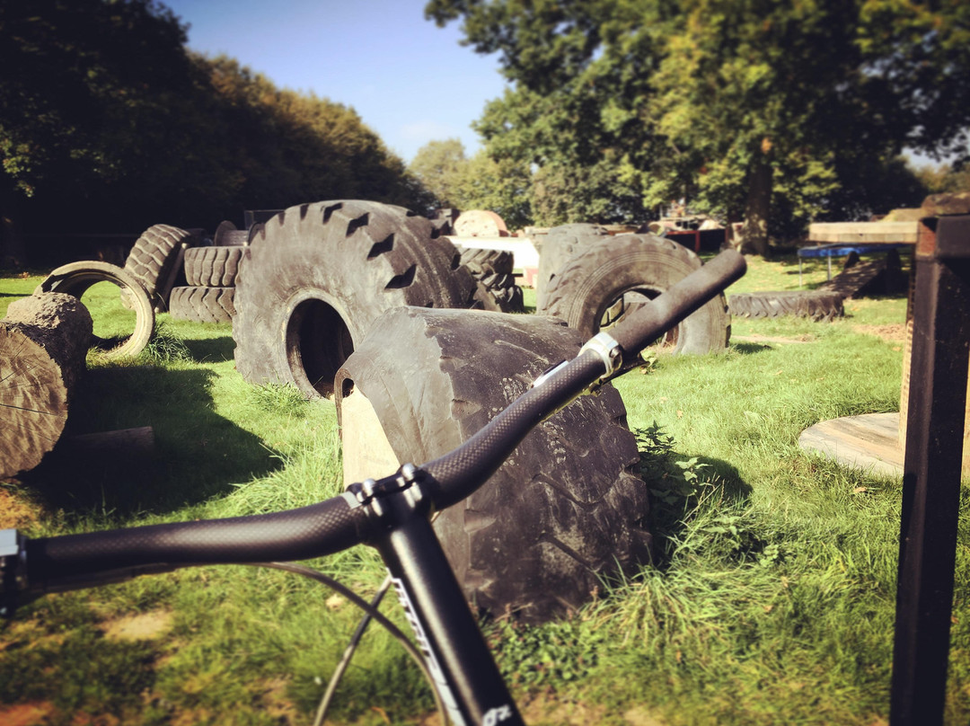 Radical Bikes C.I.C.景点图片
